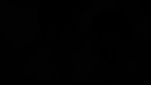 E1320