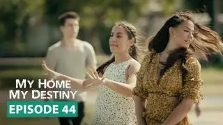 Episode 44