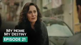 Episode 21