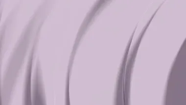 E49.Assimilation, Part 1