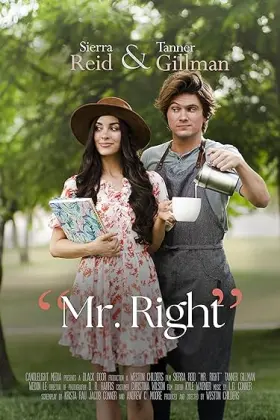 Mr. Right - Movie free on Castle