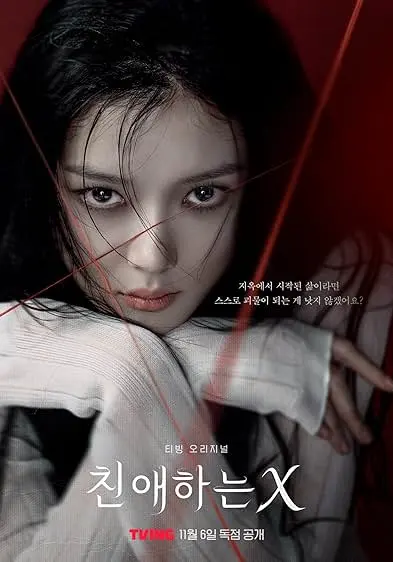 TV series poster: Dear X