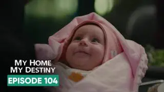 Episode 104