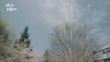 E12.A Poor Love Song