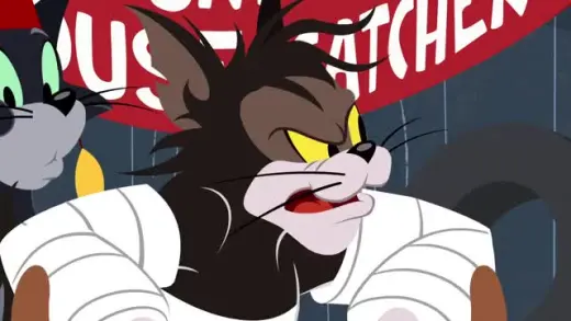 E31.Top Cat