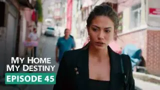 Episode 45