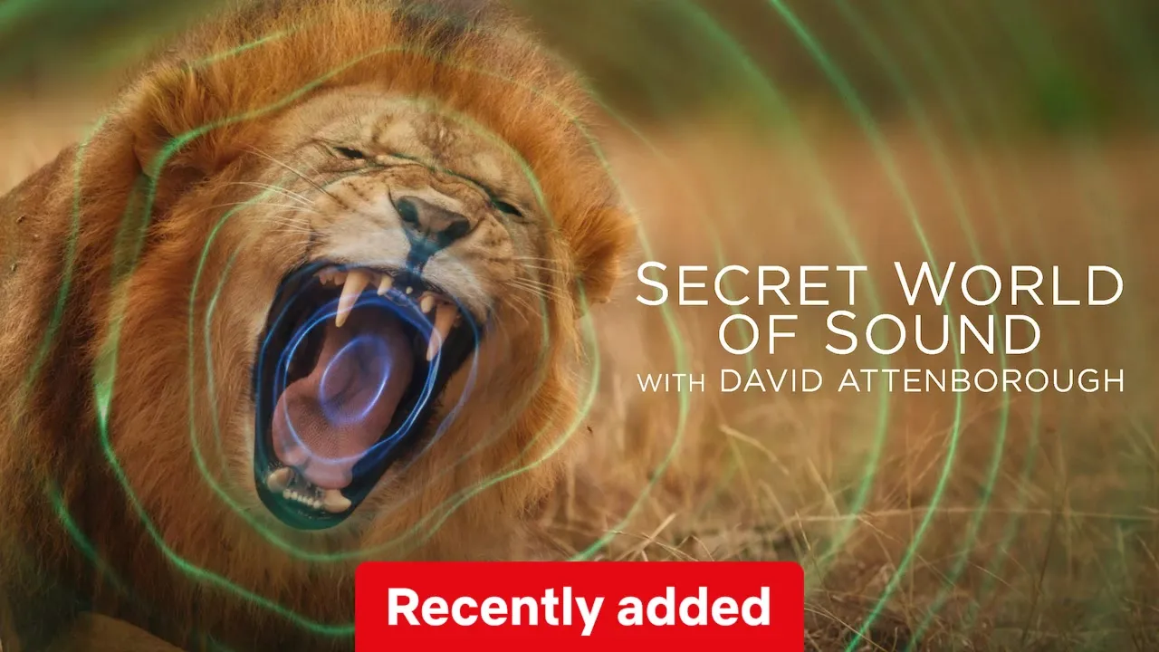 Secret World of Sound with David Attenborough