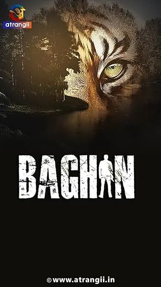 TV series poster: Baghin