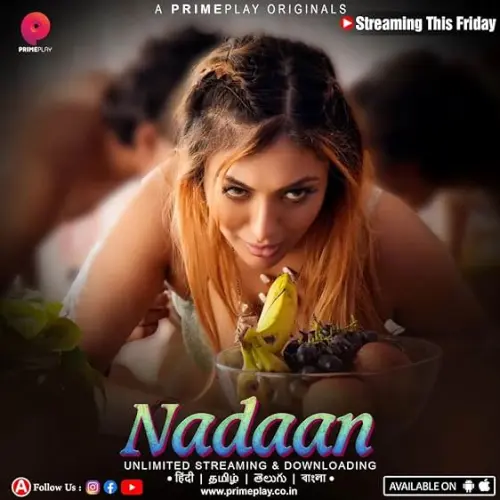 TV series poster: Nadaan