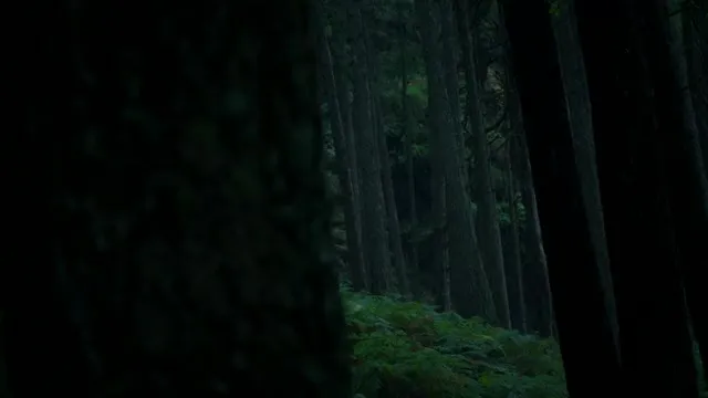 E1.Enter the Phoenix