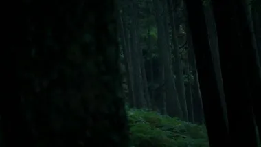 E1.Enter the Phoenix