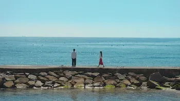 E5.Am I the Butterfly or Is the Butterfly Me?