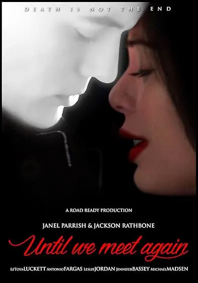 Movie Poster: Until We Meet Again