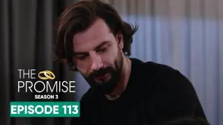 Episode 113