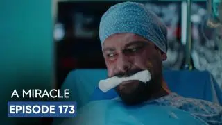 Episode 173