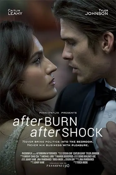 Movie Poster: Afterburn/Aftershock