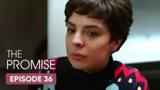 Episode 36