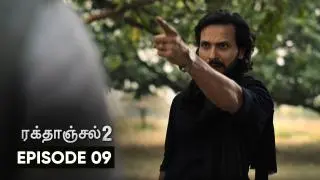 Conclusion But Not Concluded