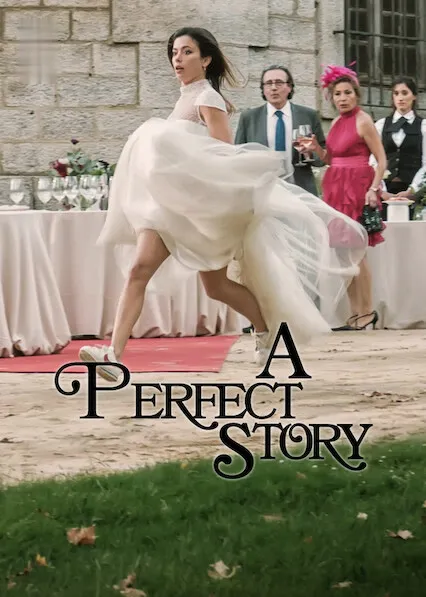 TV series poster: A Perfect Story