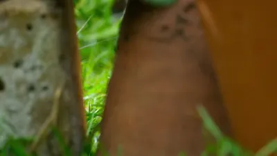 E6.Garden