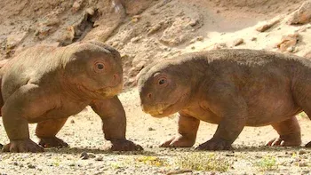 E4.Chapter 4: In Cold Blood