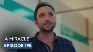 Episode 195