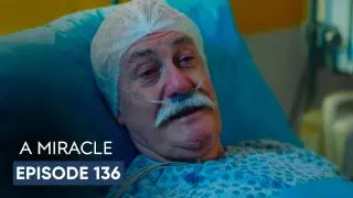 Episode 136