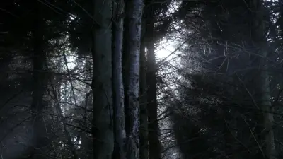 Episode 6