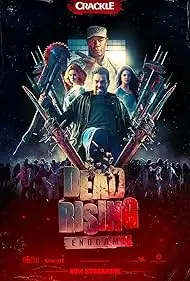 Movie Poster: Dead Rising: Endgame