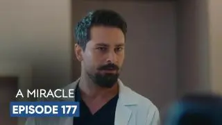 Episode 177