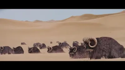 E1.Episode 1