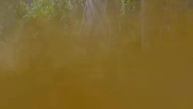 E271