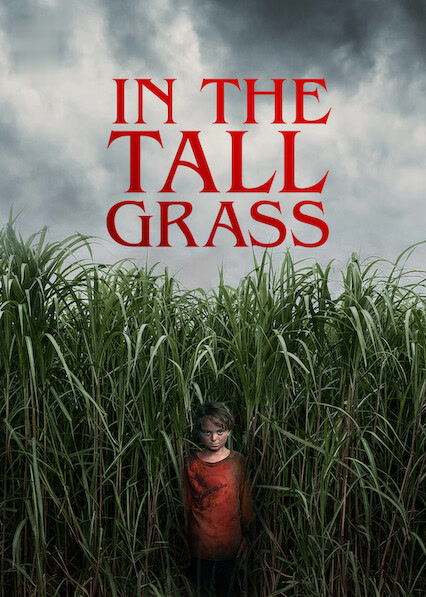 In the Tall Grass
