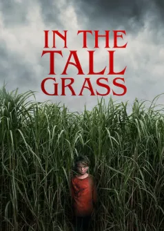 In the Tall Grass