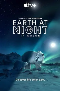 Earth at Night in Color
