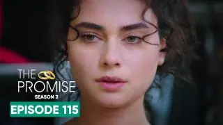 Episode 115