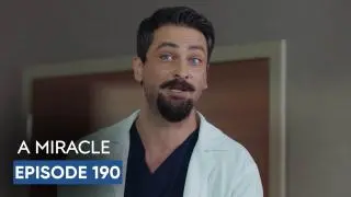 Episode 190