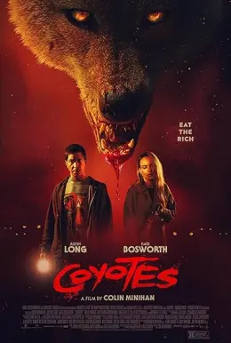 Coyotes