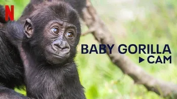 E1.Baby Time