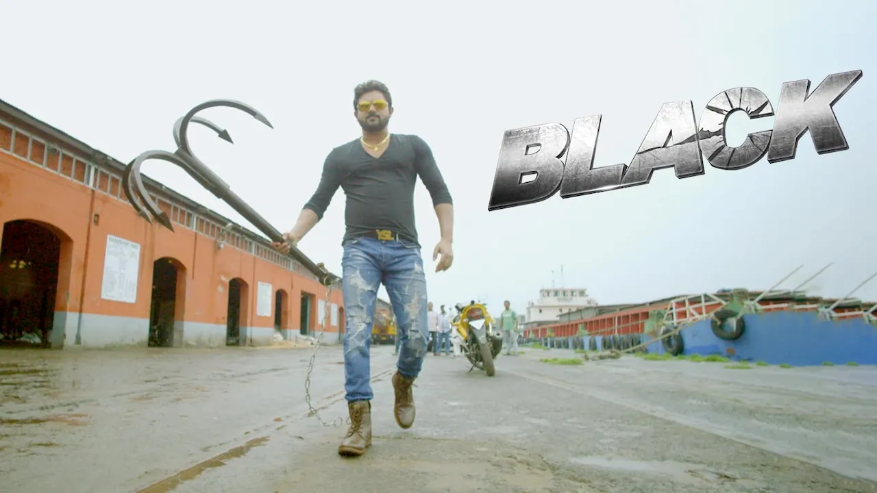 Movie Poster: Black
