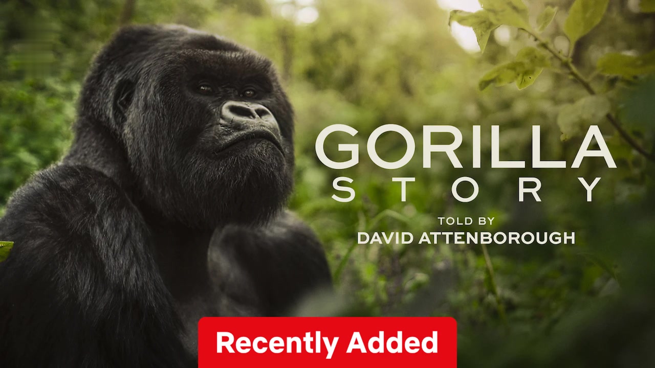 A Gorilla Story: Told by David Attenborough