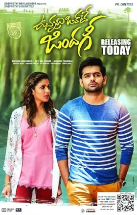 No. 1 Dilwala - Movie free on Castle