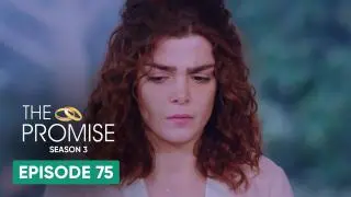 Episode 75