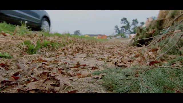 E8.Episode #1.8