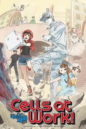 Cells at Work! - Web Serie complete free on Castle