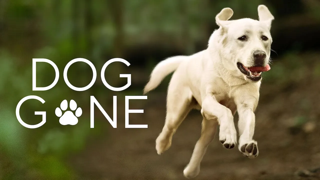 Dog Gone