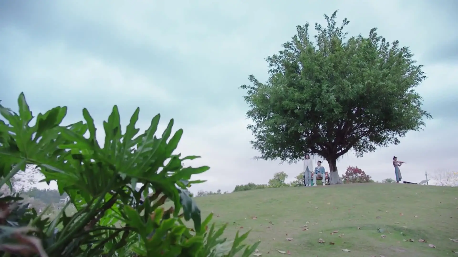 E26.Episode 26