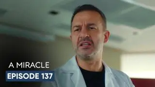 Episode 137