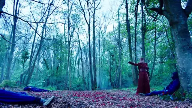 E10.Raven's Feather, Phoenix Blood