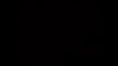 E273